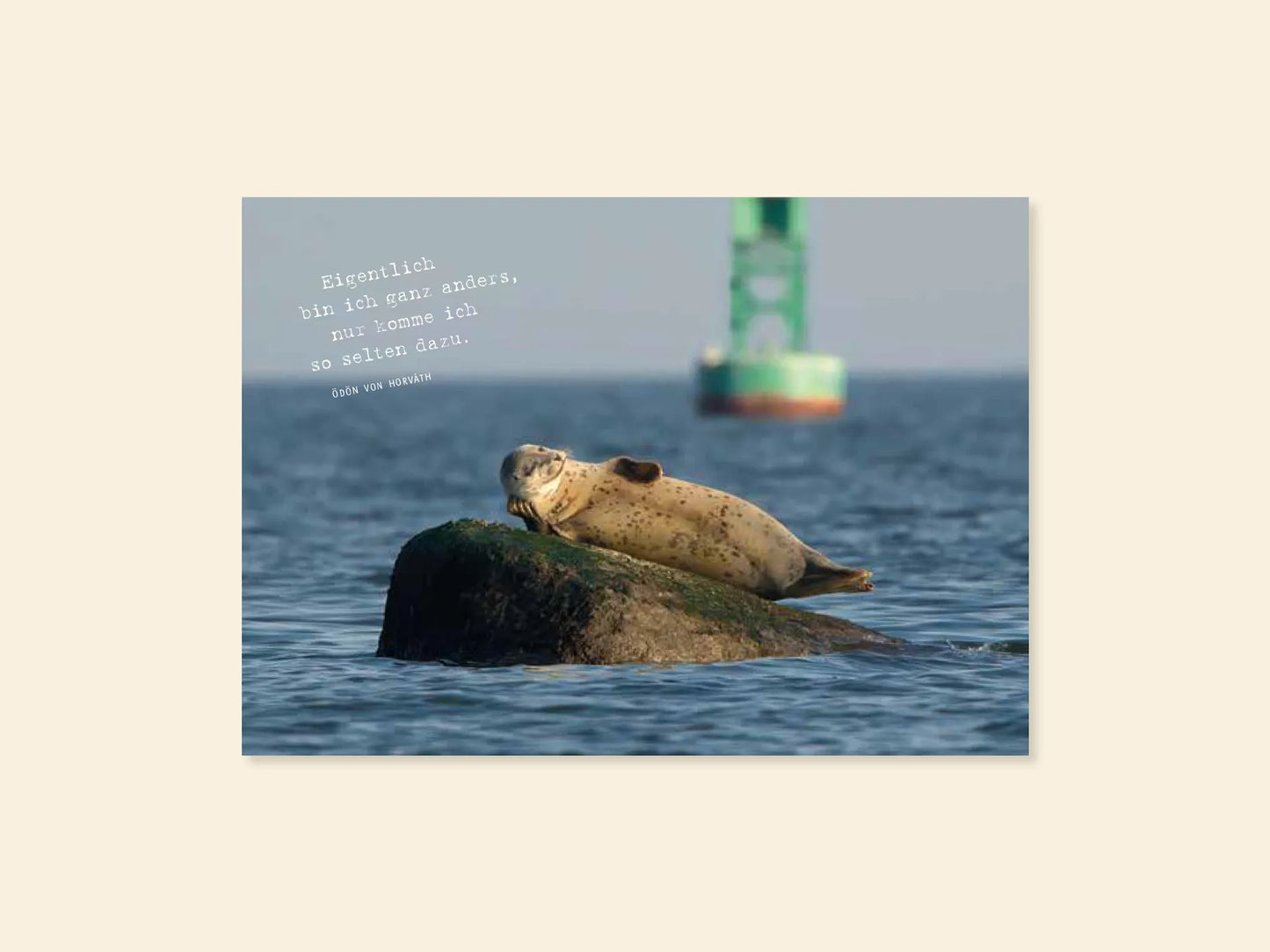 Postkarte Fastenaktion 2024