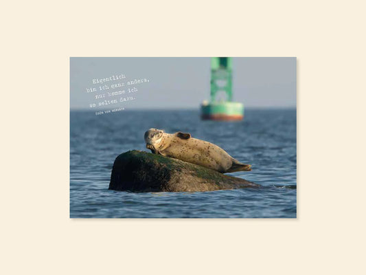 Postkarte Fastenaktion 2024